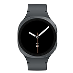 Часы Samsung Galaxy Watch 8 40mm Graphite 250_100_641290