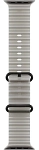 Часы Apple Watch Ultra 4 49mm Titanium Case Black / Ocean Band Translucent Gray 250_100_853492