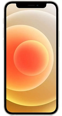 Смартфон Apple iPhone 12 64GB White 400_400_630981