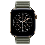 Ремешок Apple Watch 42 мм Magnetic Link Sage Gray - S/M 250_100_694417