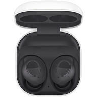 Наушники Samsung Galaxy Buds FE Graphite 500_191_703959