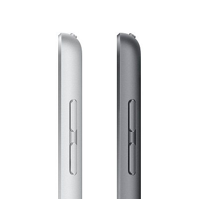 Планшет Apple iPad (2021) 10.2" 64GB Wi-Fi Silver 400_400_753825