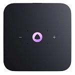 Яндекс Станция Миди с Zigbee (серый) 250_100_642688