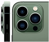Смартфон Apple iPhone 13 Pro 256GB Alpine Green 250_100_631253