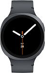 Часы Samsung Galaxy Watch 8 LTE 44mm Graphite 250_100_758936