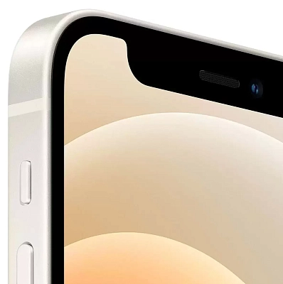 Смартфон Apple iPhone 12 256GB White 400_400_630950
