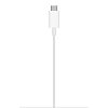 Зарядное устройство Apple MagSafe Charger (MHXH3) 100_100_626602
