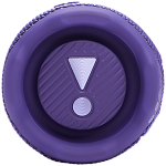 Портативная колонка JBL Flip 7 Purple 250_100_813162