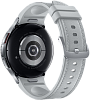 Часы Samsung Galaxy Watch Classic 6 47mm Silver