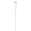 Кабель Apple USB-C/Lightning (1м) 100_100_746909