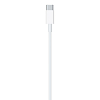 Кабель для Apple USB-C/Lightning (1м) 100_100_626881