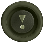Портативная колонка JBL Flip 6 Green 250_100_756622