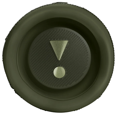 Портативная колонка JBL Flip 6 Green 400_400_756622