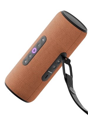 Яндекс Станция Стрит с Алисой (Оранжевый) 400_400_685927