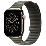 Ремешок Apple Watch 42 мм Magnetic Link Sage Gray - S/M 250_100_694416