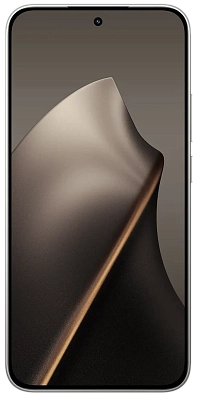 Смартфон Xiaomi 15T 12/256GB Gray 400_400_724869