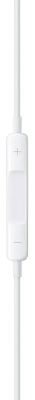 Наушники Apple EarPods (USB-C) 400_400_827329