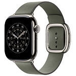 Ремешок Apple Watch 42 мм Modern Buckle Sage Gray - M 250_100_694232