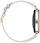 Часы Huawei Watch GT 7 41mm Grey 250_100_850362