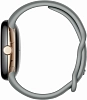 Часы Google Pixel Watch Champagne Gold Case/Hazel 100_100_641125