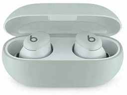 Беспроводные наушники Beats Solo Buds Storm Gray 500_191_703755