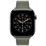 Ремешок Apple Watch 42 мм Modern Buckle Sage Gray - M 250_100_694233
