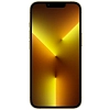 Смартфон Apple iPhone 13 Pro 256GB Gold 100_100_631258