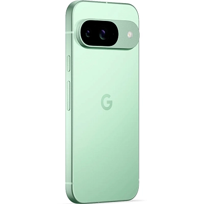 Смартфон Google Pixel 9 12/128GB Wintergreen (JP)