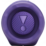 Портативная колонка JBL Charge 6 Purple 250_100_756391