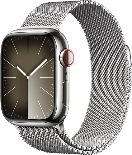 Ремешок Apple Watch 41 мм Milanese Loop Silver 250_100_121774