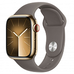Часы Apple Watch Series 9 45mm Gold Stainless Steel Case Sport Band Clay M/L 250_100_640332