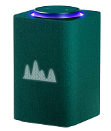 Яндекс Станция Макс с Zigbee (зеленый) 500_191_642662