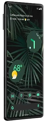 Смартфон Google Pixel 6 Pro 12/128GB Stormy Black 400_400_636436