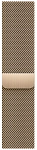 Часы Apple Watch Series 8 45mm Stainless Steel Case GPS+Cellular Milanese Loop Gold 250_100_640168
