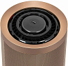 Очиститель воздуха Dyson BP03 Prussian Blue/Gold 100_100_765181