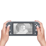 Игровая приставка Nintendo Switch Lite Gray 250_100_626753