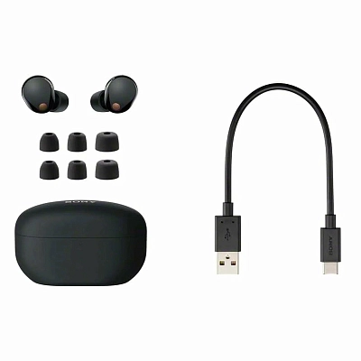 Наушники Sony WF-1000XM5 Black 400_400_627256