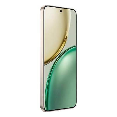 Смартфон Honor X9d 12/256GB Sunrise Gold 400_400_745884