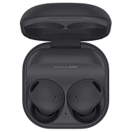 Наушники Samsung Galaxy Buds 2 Pro Graphite 500_191_137270