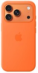 Чехол Apple iPhone 17 Pro Silicone Case with MagSafe – Orange 250_100_761788