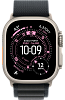 Часы Apple Watch Ultra 3 49mm Titanium Case Natural / Alpine Loop Black M 100_100_640984