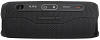 Портативная колонка JBL Flip 6 Black 100_100_756548