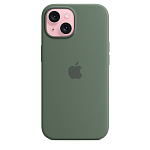 Чехол для iPhone 15 Silicone Case with MagSafe - Cypress 250_100_642112