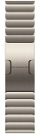 Часы Apple Watch Series 12 42mm Titanium Case Natural Link Bracelet 250_100_851884