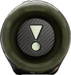 Портативная колонка JBL Charge 6 Camouflage 250_100_756381