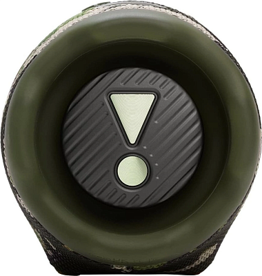 Портативная колонка JBL Charge 6 Squad 400_400_756381