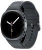 Часы Samsung Galaxy Watch 8 LTE 40mm Graphite 100_100_641325