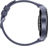 Часы Huawei Watch 5 46mm Purple 250_100_784225