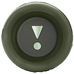 Портативная колонка JBL Flip 6 Squad 250_100_756615