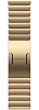 Часы Apple Watch Series 12 46mm Titanium Case Radiant Gold Link Bracelet 100_100_851871